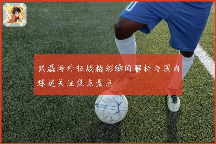 武磊海外征战精彩瞬间解析与国内球迷关注焦点盘点