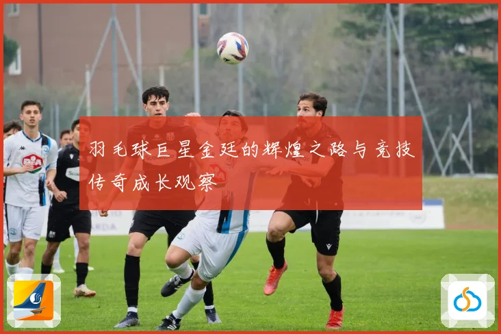 羽毛球巨星金廷的辉煌之路与竞技传奇成长观察