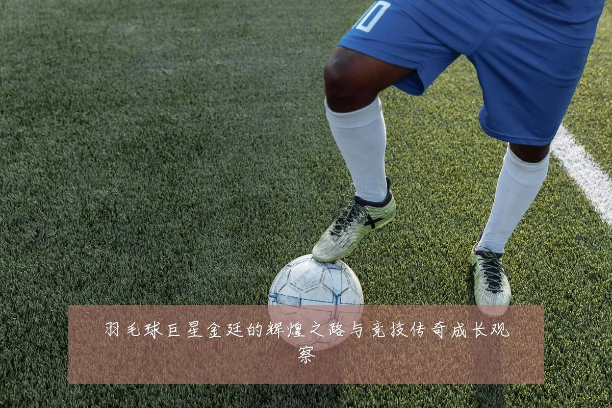 羽毛球巨星金廷的辉煌之路与竞技传奇成长观察